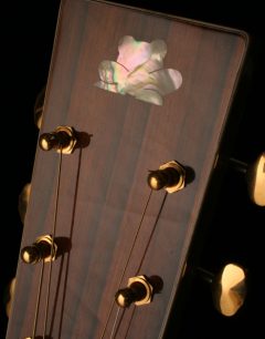 Standard Headstock